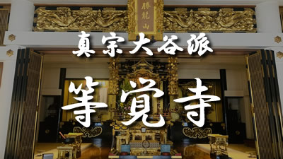 みん願寺（みんがんじ）-オンライン法要の各寺院のサムネイル画像